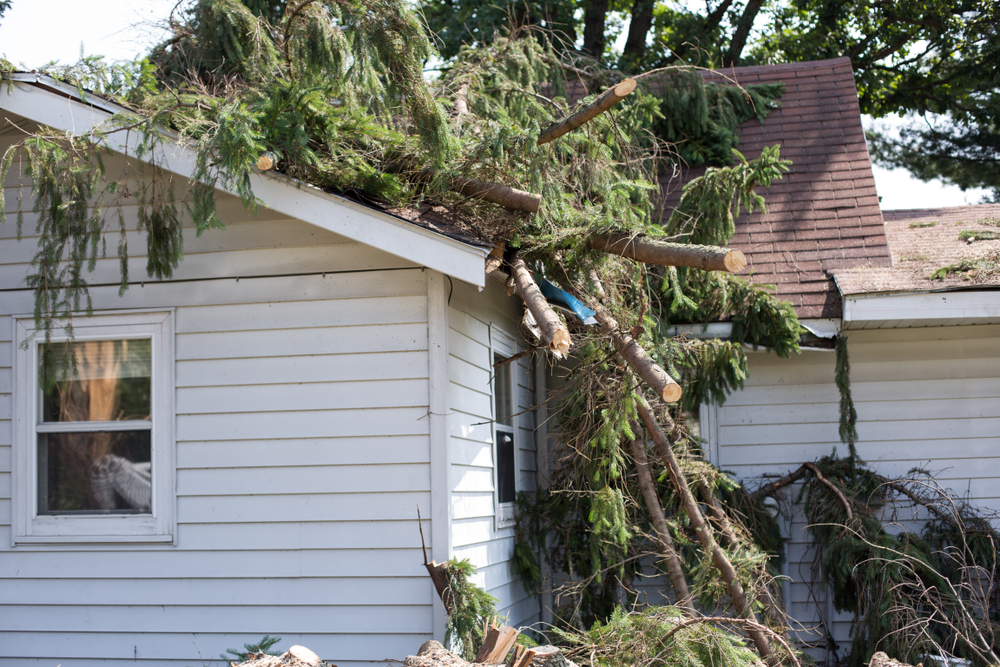 tree on top of a house from a storm